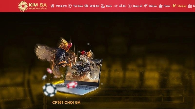 Về sảnh đá gà tại Kimsa 