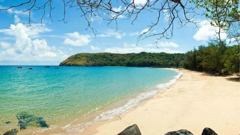 Mơ thấy nước bao lô con nào?