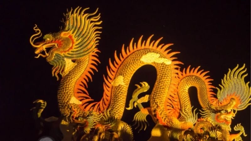 Cách bao lô khi mơ rồng