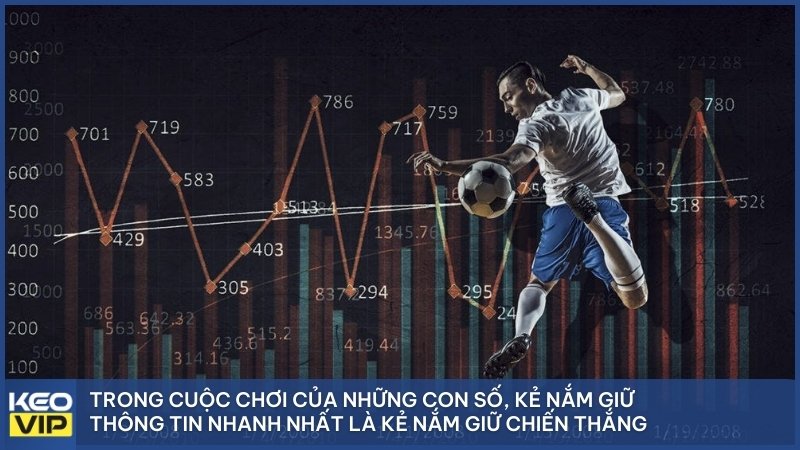 Trong cuộc chơi của những con số, kẻ nắm giữ thông tin nhanh nhất là kẻ nắm giữ chiến thắng